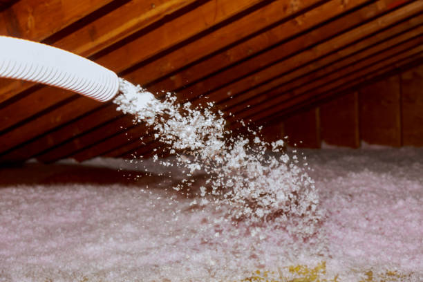 Best Spray Foam Insulation in North Tustin, CA