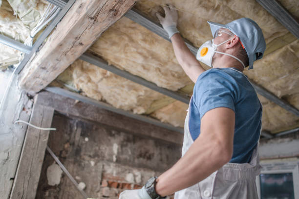 Best Cellulose Insulation in North Tustin, CA